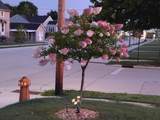 2023 Lincoln Street - Photo 22
