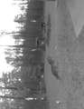 W10825 Woods Road - Photo 24