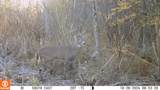  Cty Rd F - Photo 33
