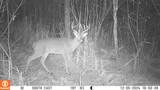  Cty Rd F - Photo 34