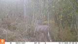  Cty Rd F - Photo 35