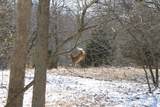 N5199 Marggi Lane - Photo 20