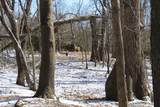 N5199 Marggi Lane - Photo 24