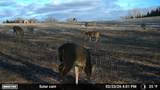 N5199 Marggi Lane - Photo 89