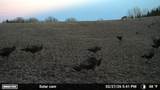 N5199 Marggi Lane - Photo 90