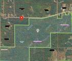 W8755 Dow Dam Road - Photo 14