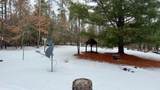 N11956 Jungle Jims Lane - Photo 24