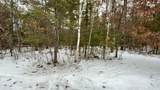 N11956 Jungle Jims Lane - Photo 35