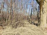 Lot#3 Bialozynski Road - Photo 11