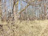 Lot#3 Bialozynski Road - Photo 12