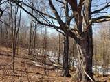 Lot#3 Bialozynski Road - Photo 8