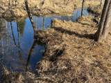W6960 County Road 356 - Photo 35