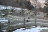 E9588 Mulroy Road - Photo 78