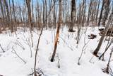 6506 Double Bend Road - Photo 26