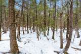 6506 Double Bend Road - Photo 42