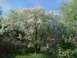 83 9TH Street - Photo 38