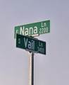  Nana Lane - Photo 2