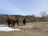 E7037 Swamp Road - Photo 19