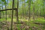  Birchwood Lane - Photo 32