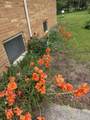 2441 White Star Road - Photo 81