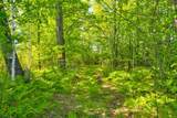  Nettleton Road - Photo 11