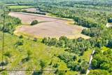  Nettleton Road - Photo 6
