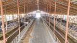 8223 Middle Road - Photo 36
