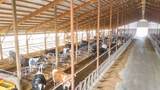 8223 Middle Road - Photo 37