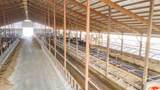 8223 Middle Road - Photo 38