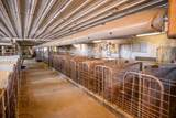 8223 Middle Road - Photo 43