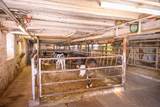8223 Middle Road - Photo 46