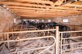 8223 Middle Road - Photo 49