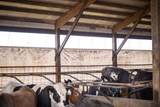 8223 Middle Road - Photo 54