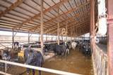 8223 Middle Road - Photo 55