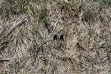  Madson Road - Photo 28