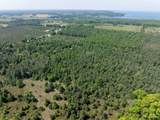  Scandia Road - Photo 10