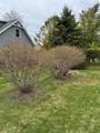 1823 Kentucky Street - Photo 31