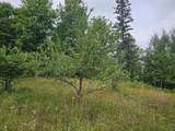 7968 Herzog Road - Photo 69
