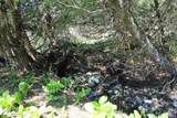 4002 Cty Rd I - Photo 56