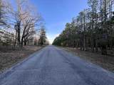  Nejedlo Road - Photo 6