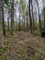 W7793 Bergeson Lane - Photo 10