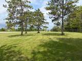  Overland Trail - Photo 4