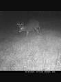  State Hwy M-35 - Photo 22