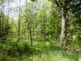 455 Bialozynski Road - Photo 48