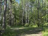  Dream Lake Road - Photo 1