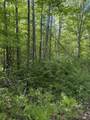  Dream Lake Road - Photo 2