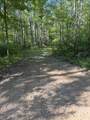  Dream Lake Road - Photo 5