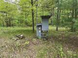 N1128 Sunrise Road - Photo 7