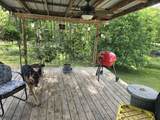 11529 Kalies Shady Lane - Photo 13