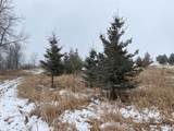  Elder Drive - Photo 14